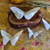 Tricô de dedo