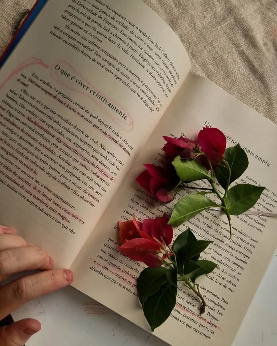 Livro aberto com flores vermelhas entre as páginas