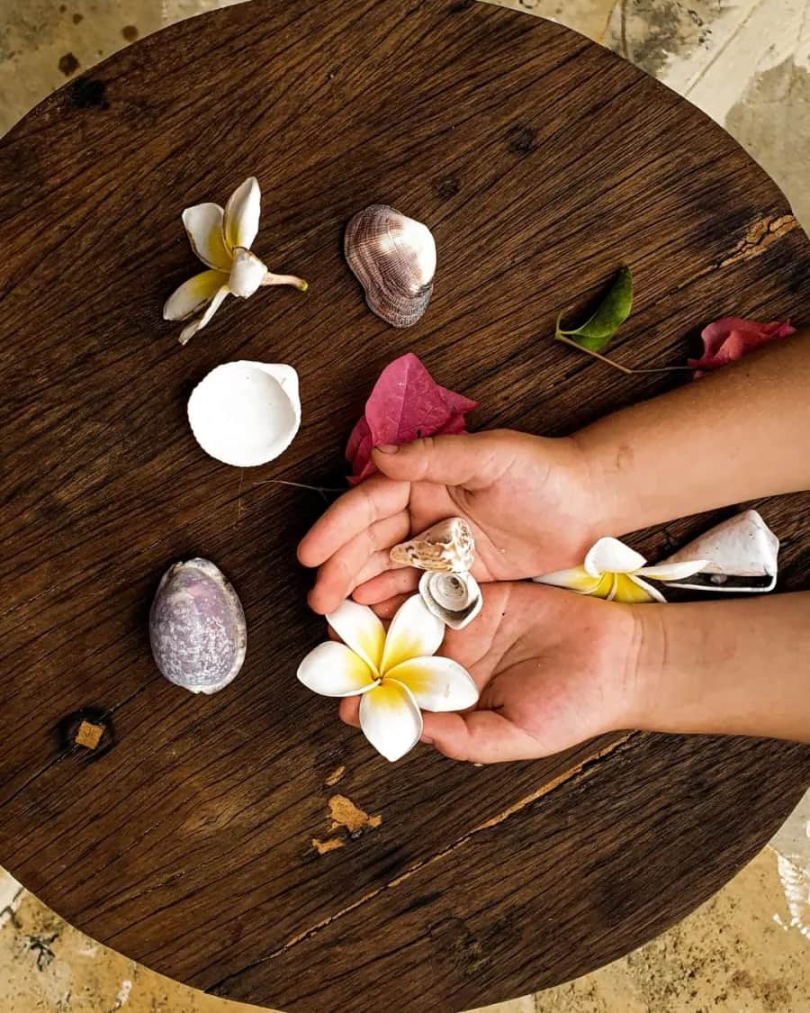 Mãos segurando uma flor sobre uma mesa redonda de madeira com conchas e pétalas
